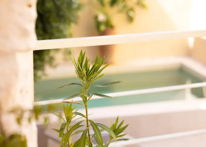 Byblos Walking Distance To Everything With Private Pool & Bbq Willa